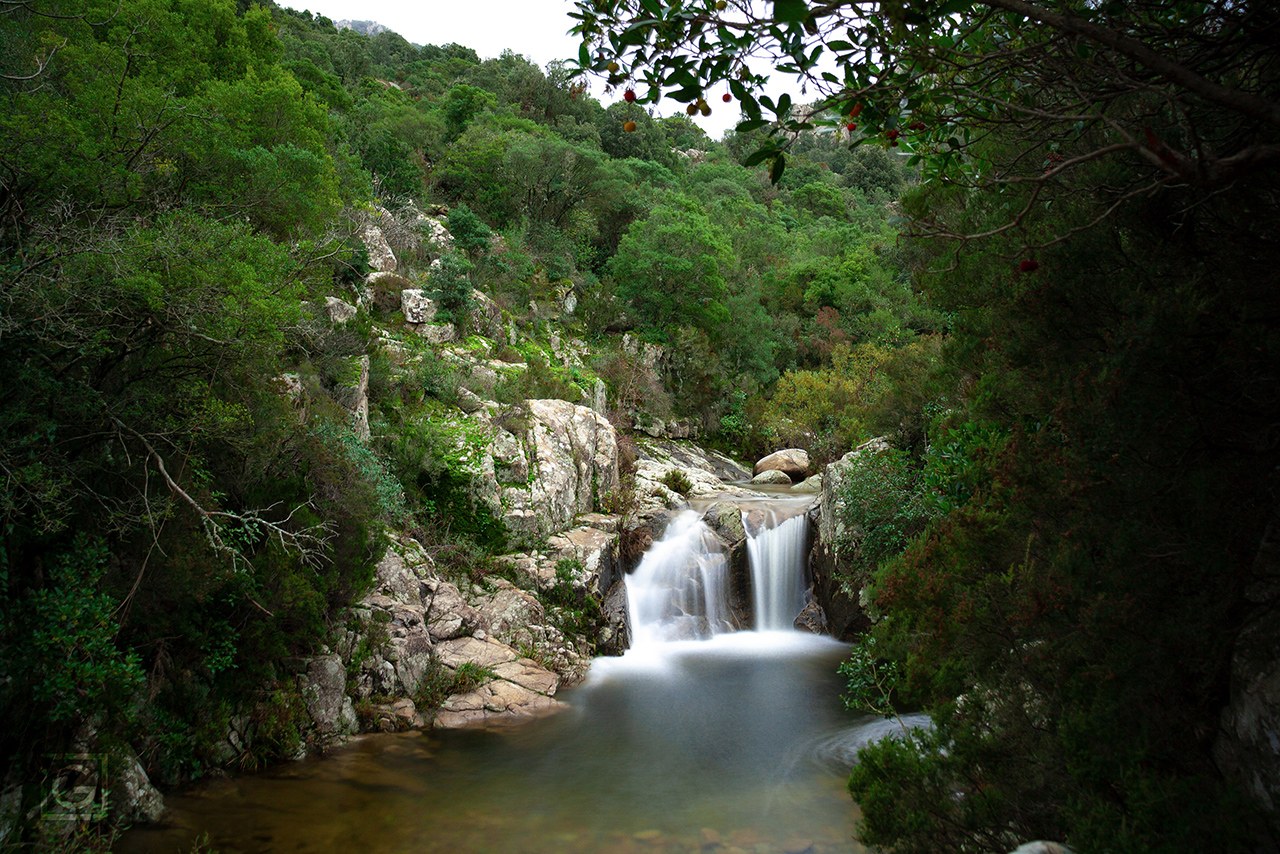 Il monte Limbara: granito, acqua e macchia mediterranea